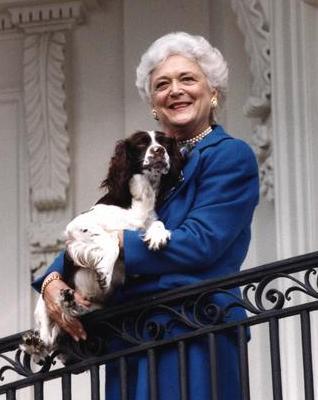Image of former First Lady Barbara Bush with her cocker spaniel. 

Image courtesy of the George Bush Presidential Library and Museum, all rights reserved.

Click here to link to the George Bush Presidential Library and Museum.